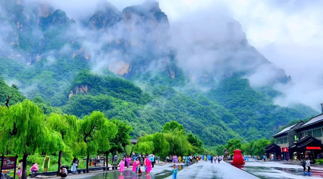 雨后云台山：云海缥缈飞瀑如练 开启仙境模式