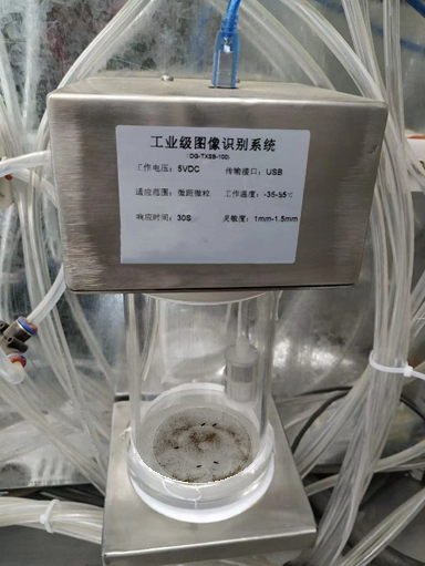 储粮害虫在线识别系统