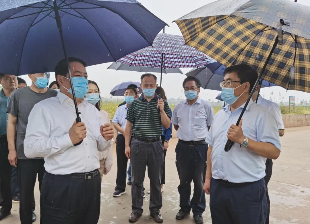 王仲田：加强汛期尾矿库环境风险防范 坚决守住环境安全底线