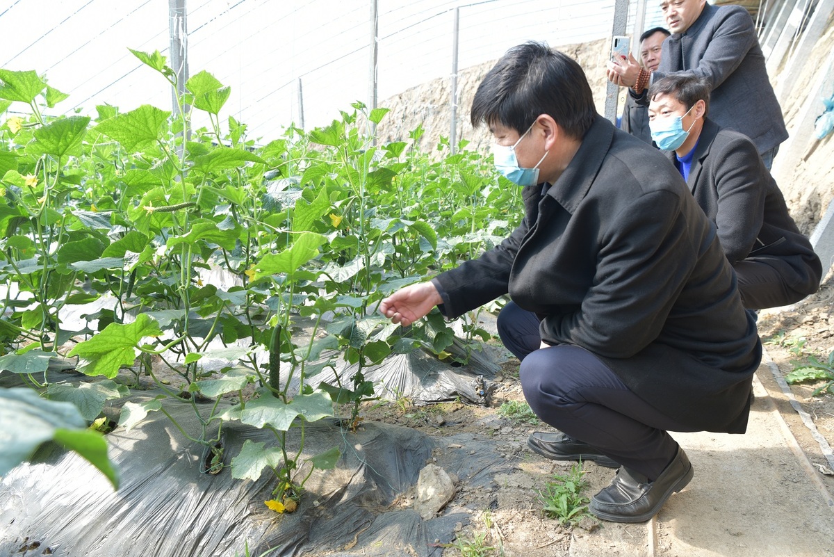 省政府国资委赴帮扶村开展春节慰问活动