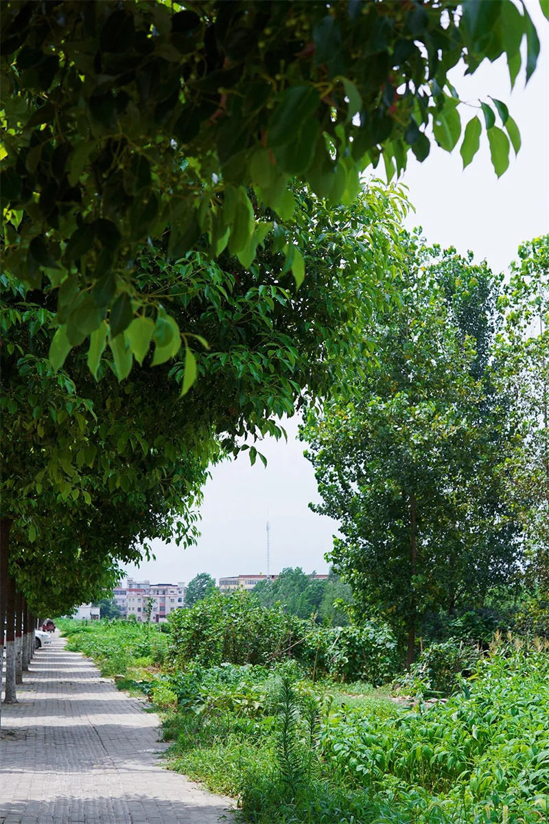 光山城市漫游Citywalk地图邀您一起压马路