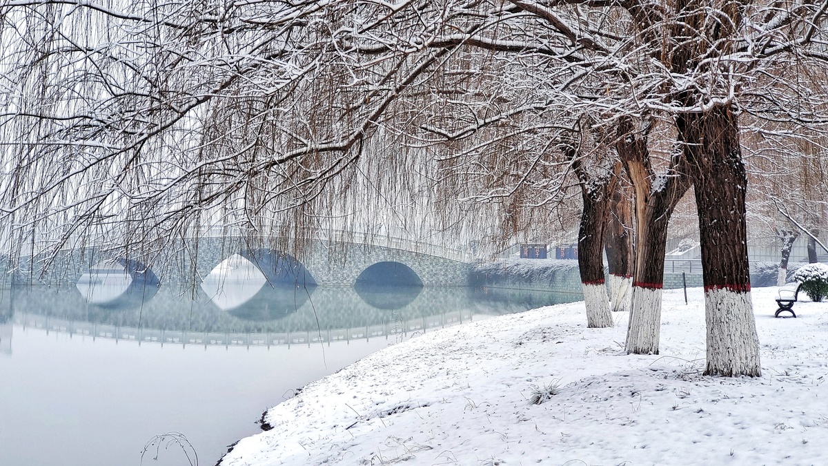 雪中校园