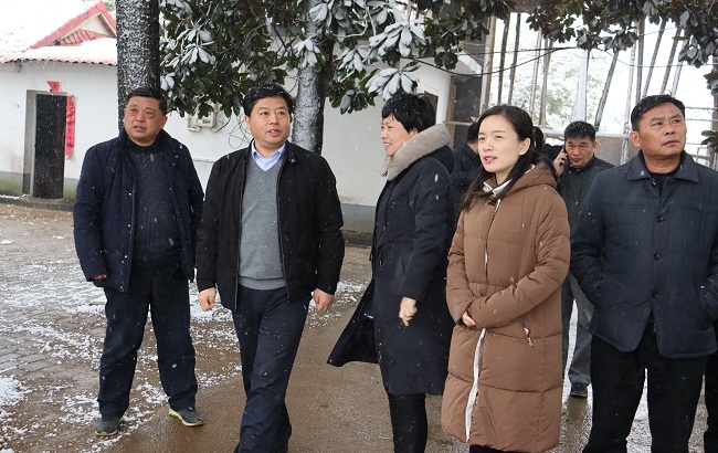 省事管局党组成员副局长褚文忠调研指导定点扶贫工作