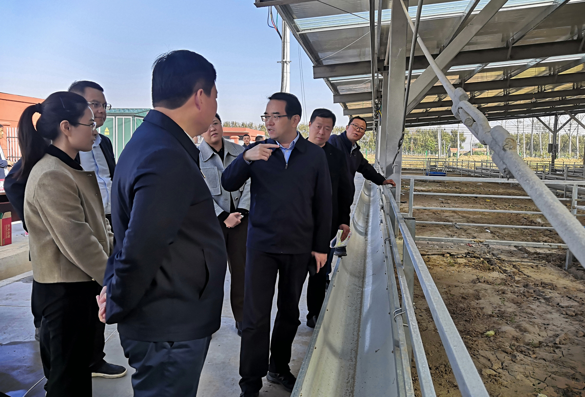 孙巍峰到新乡调研种养循环和土壤“三普” 工作时强调:加快建设“地力加油站” 夯实粮食安全根基 孙巍峰到新乡调研种养循环和土壤“三普” 工作时强调:加快建设“地力加油站” 夯实粮食安全根基