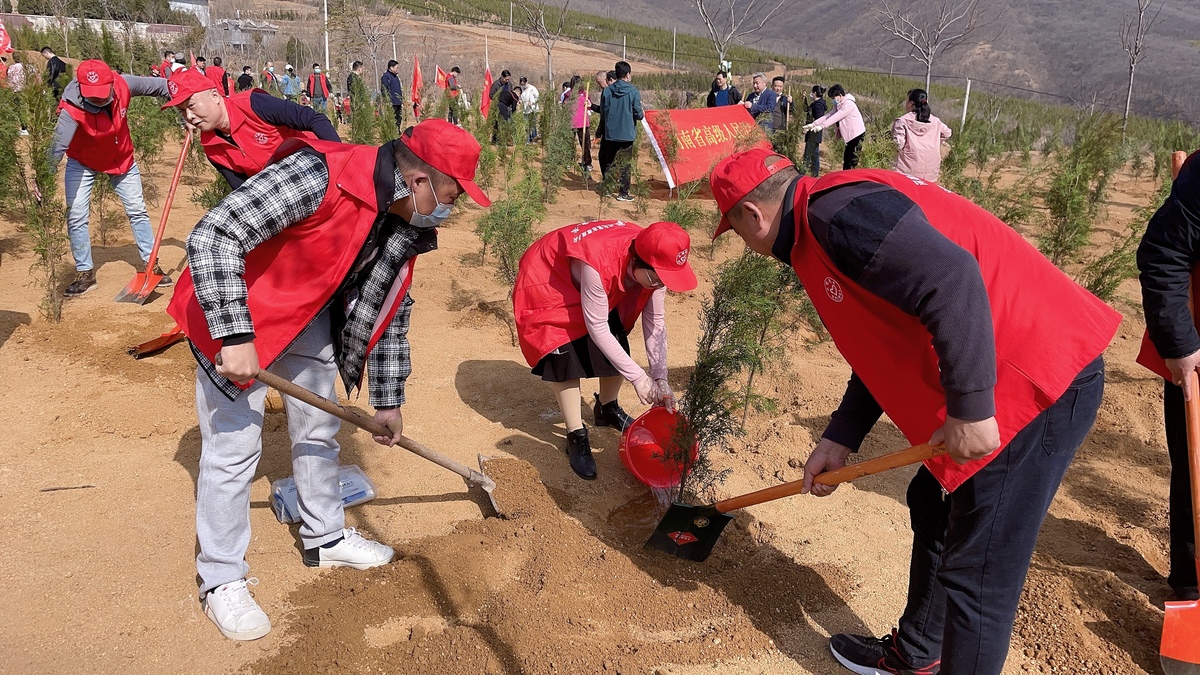 河南省建筑工人文化宫组织开展春季义务植树活动