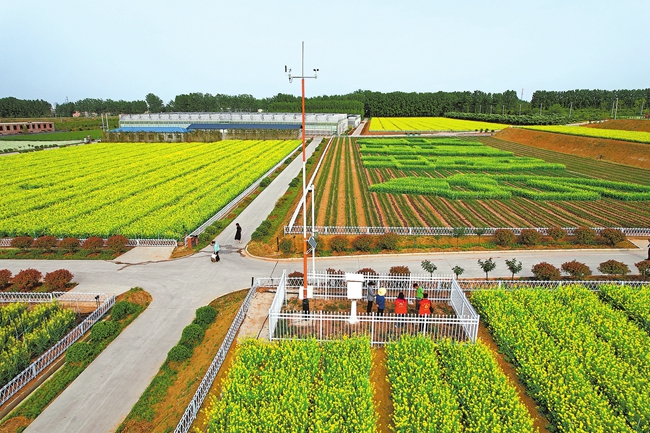 气象先行 为农服务