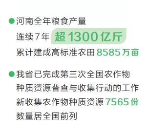做强农业“芯” “粮”策绘“丰”景