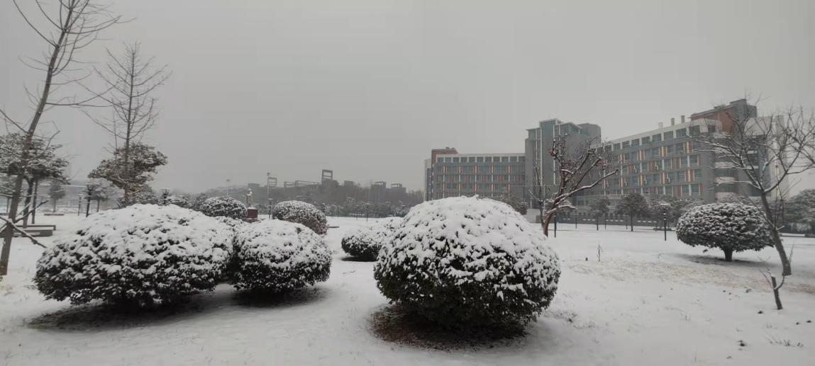 校园雪景