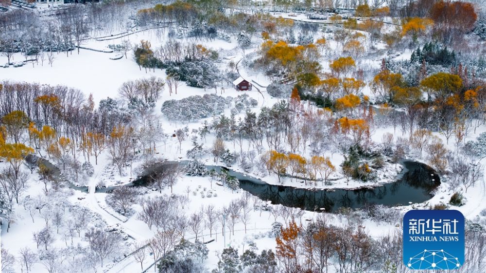 云赏商都绝美雪霁图