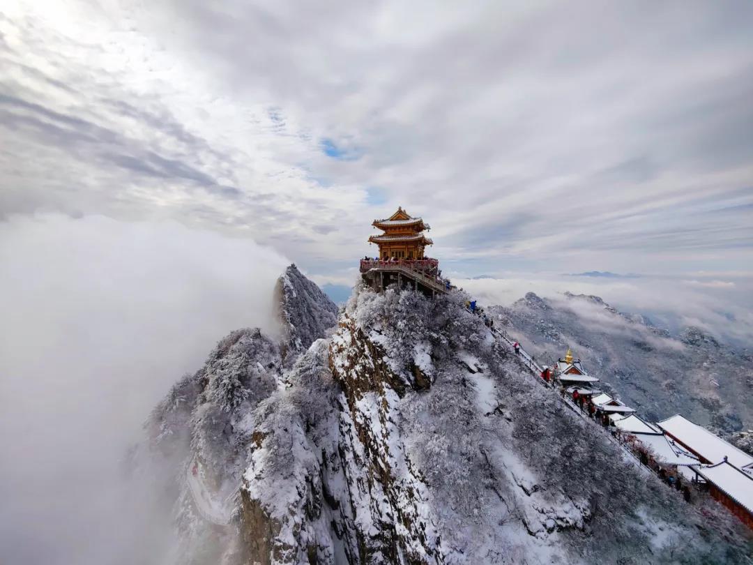 如約而至皚皚白雪與奔騰雲海在老君山撞個滿懷浪漫且熱烈