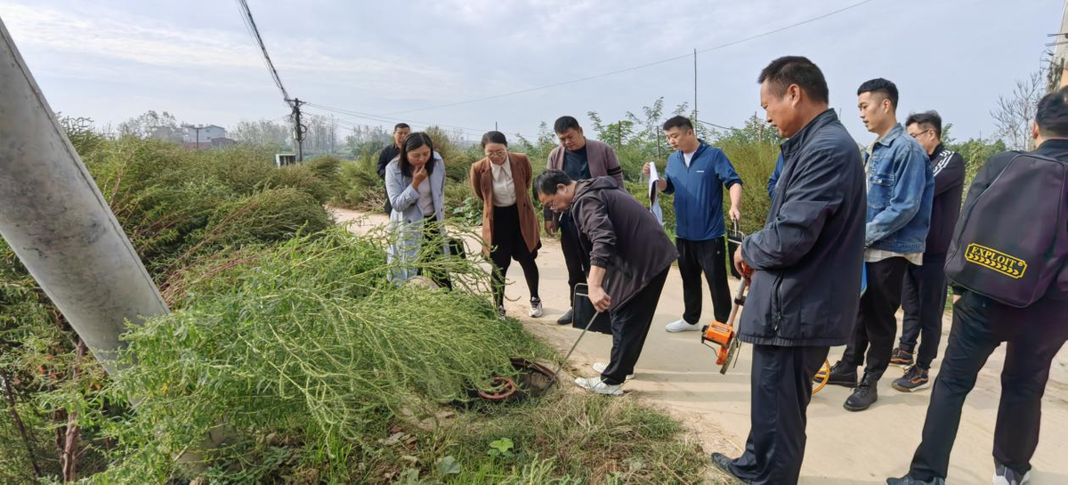 审计“利剑”出鞘 守护群众“稳稳的幸福” ——乡村振兴、粮食安全审计篇