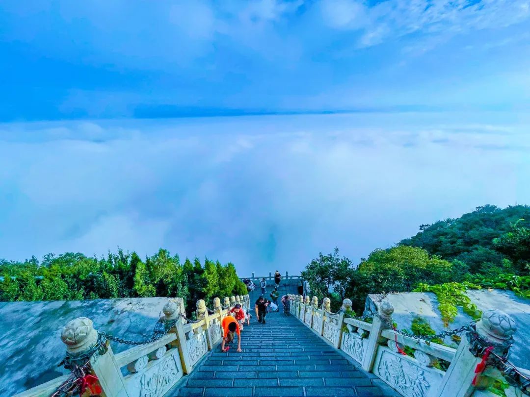雨后云台山：云海缥缈飞瀑如练 开启仙境模式