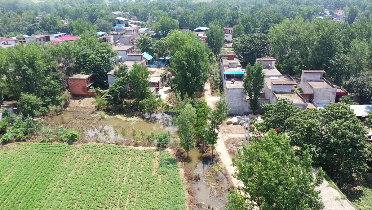 河南广播电视总台：直击排涝一线丨河南多地持续开展排涝抢险
