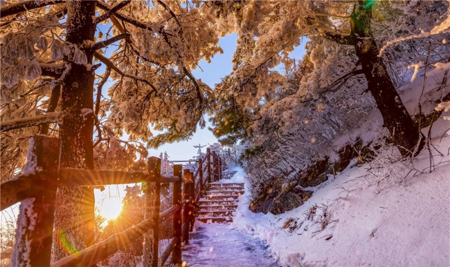 雪后老君山雾凇云海，琼楼玉宇美成仙境