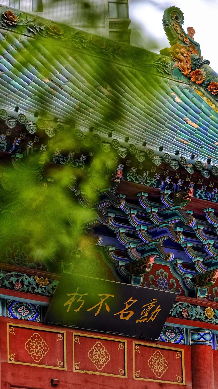 8260154717893432