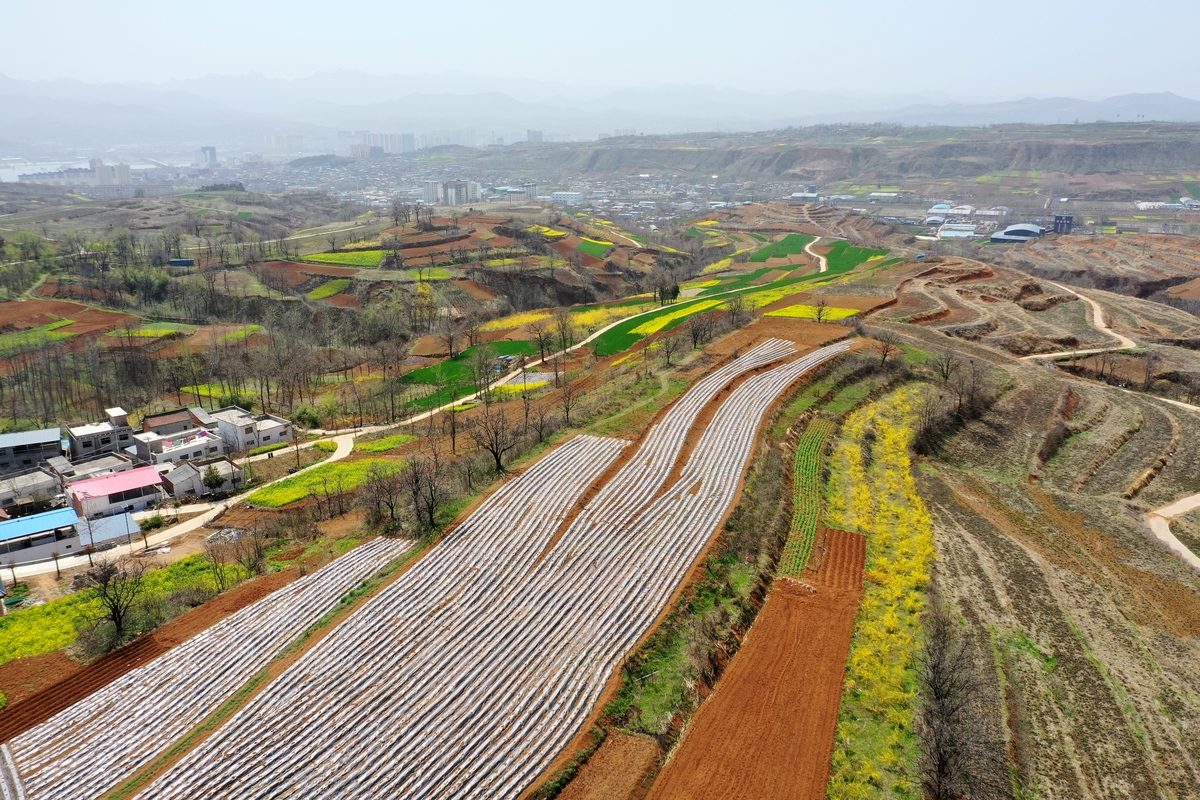 河南广播电视总台:河南：今明两年建设40条生态清洁小流域