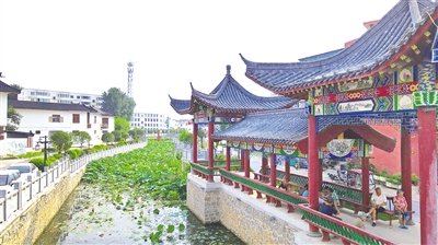 行走河南·读懂中国丨南阳达士营村： 一花一草一玉皆风景