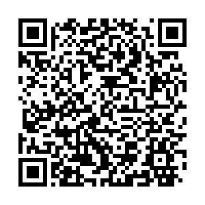 河南省营业性演出准予许可决定（410000522023000181）
