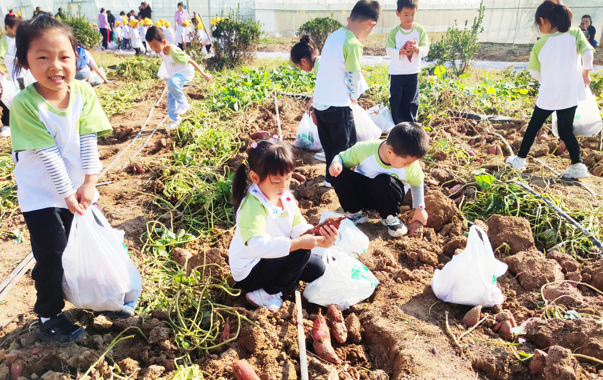 省直一幼开展幼儿秋游活动