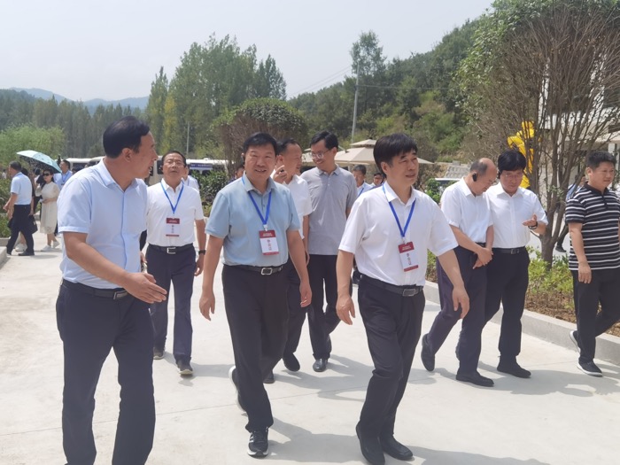 平顶山文旅文创大会代表观摩赵村民宿产业