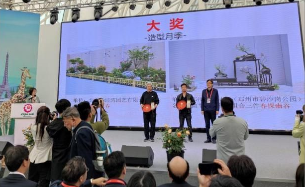 郑州市碧沙岗公园盆景作品荣获世界园艺博览会月季国际竞赛大奖 郑州市碧沙岗公园盆景作品荣获世界园艺博览会月季国际竞赛大奖