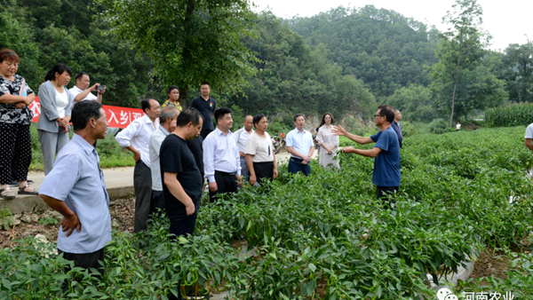 扶智又强技 扶贫添动力