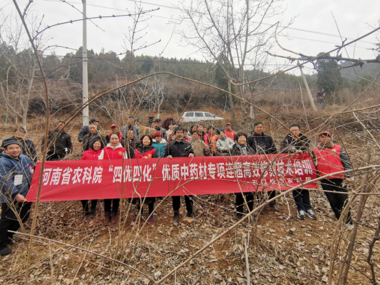 【三门峡市】省农科院“四优四化”优质中药材专项 连翘高效修剪技术培训会在卢氏县举行