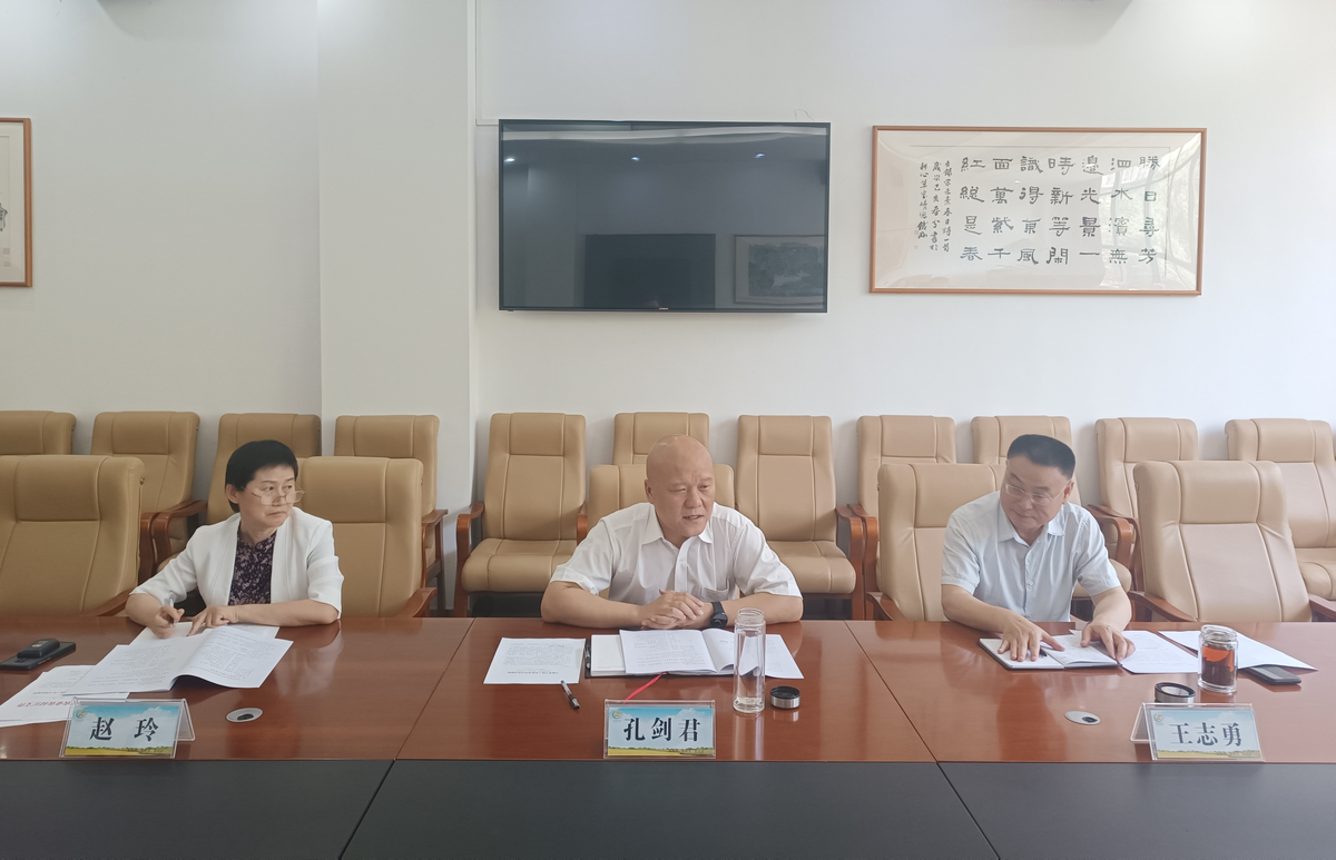 大服务平台建设工作专班召开工作推进会
