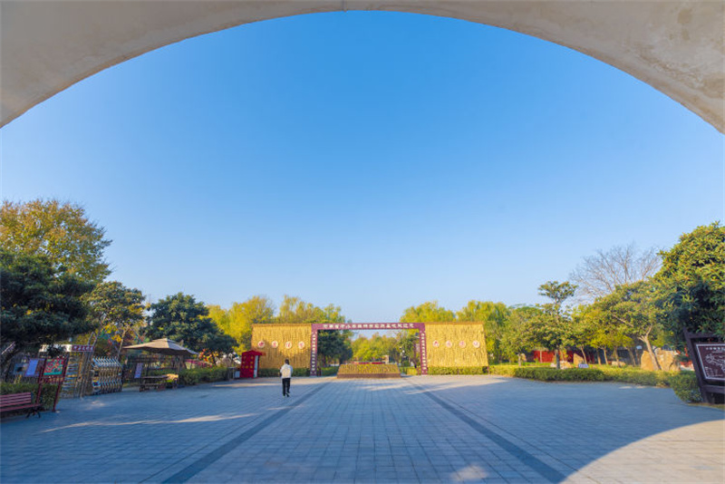 临颍色彩斑斓小商桥初冬美景入画来