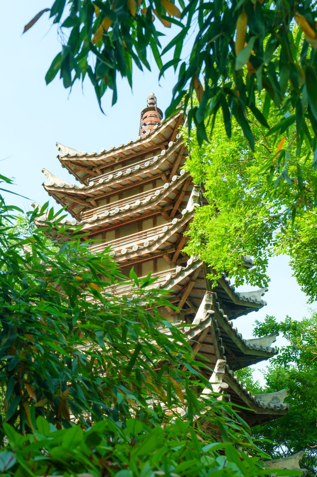 行走河南·读懂中国丨感受绿博园夏日的魅力