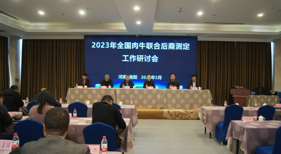 【洛阳市】2023年肉牛联合后裔测定工作研讨会在河南洛阳顺利召开